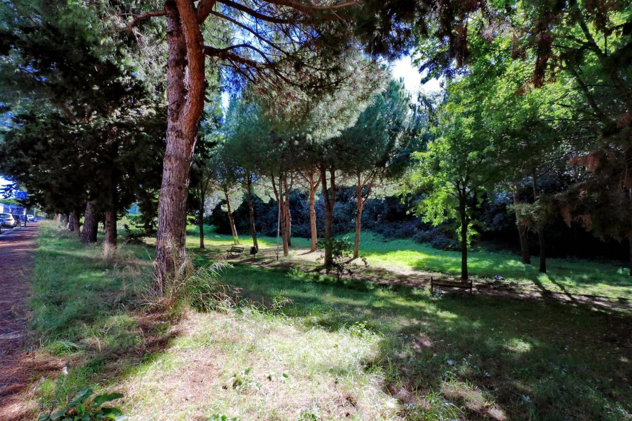 Aurelia Relax Apartment Rzym Zewnętrze zdjęcie